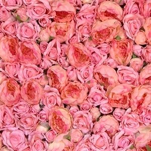 Meet your Posher, Juliana